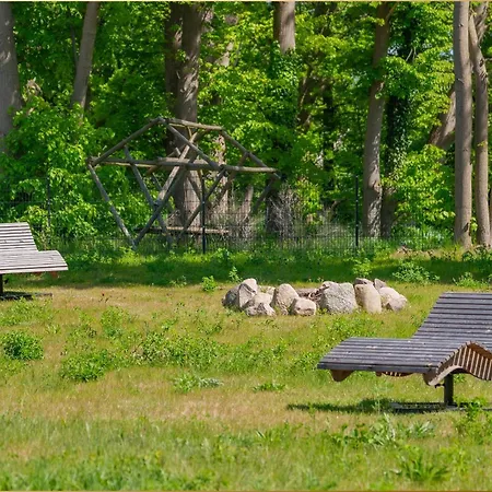 Fischerdorf Ddh Haffliebe *